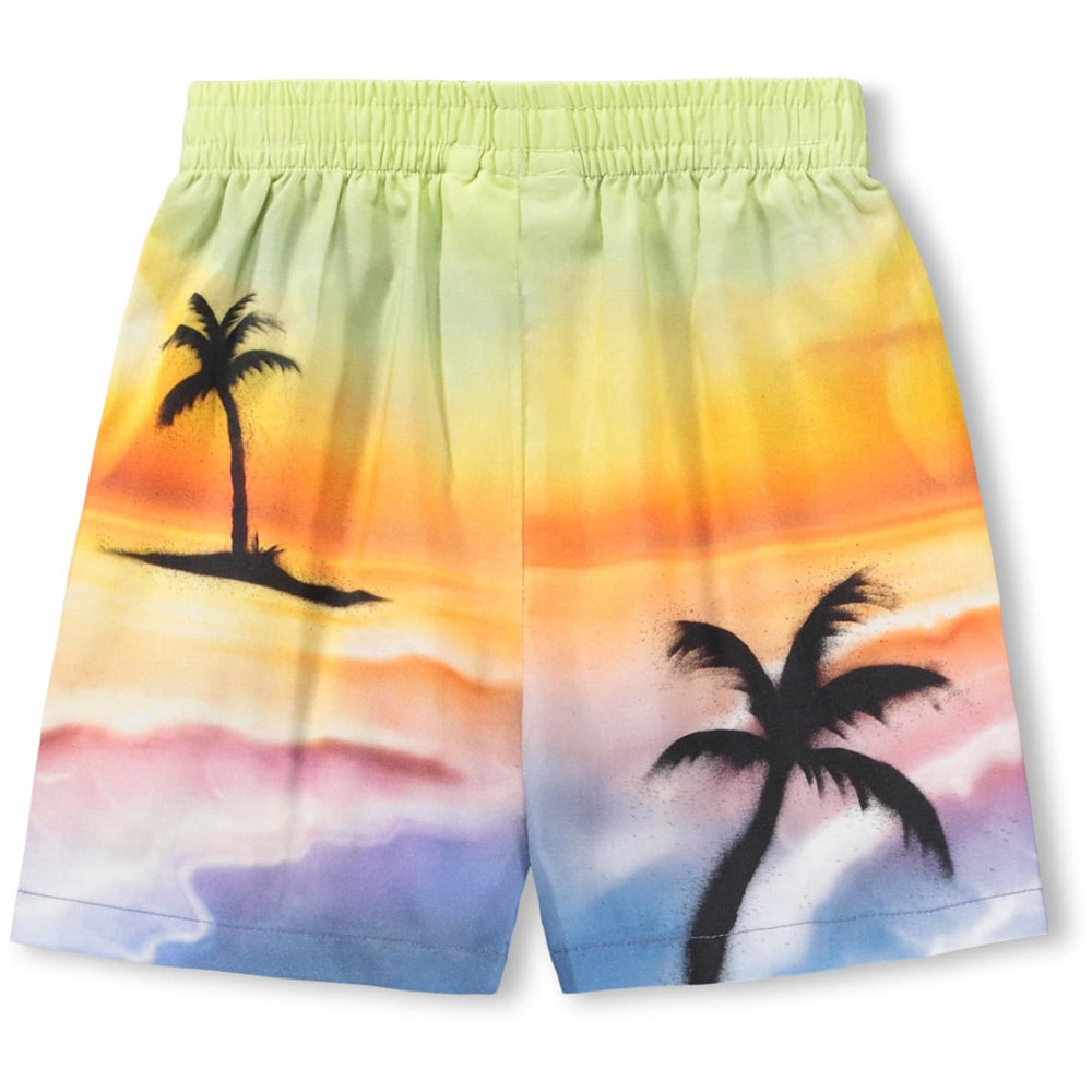 Køb Molo Airbrush Beach Solar Shorts