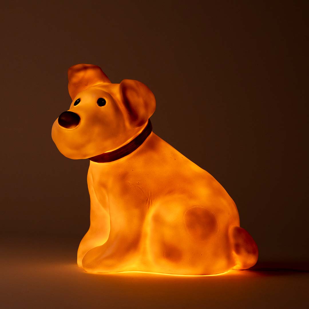 Egmont toys heico lamp hond