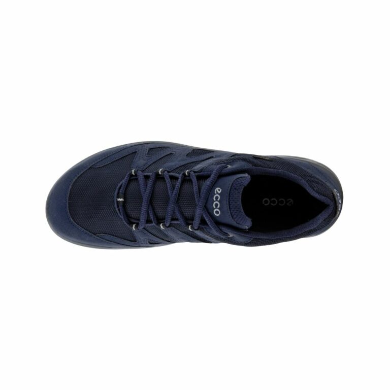 Ecco Terracruise LT M Sneakers Herre