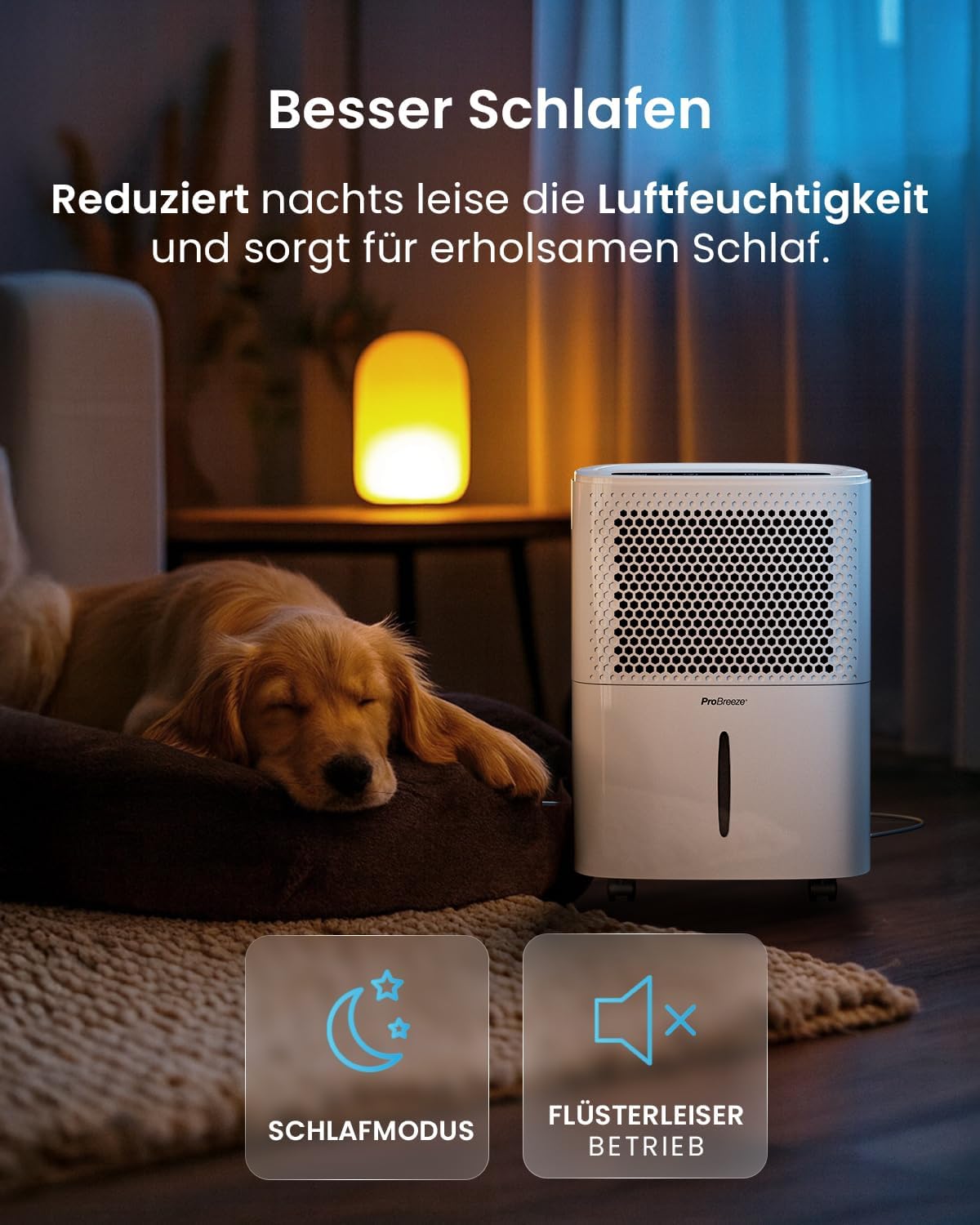 Pro Breeze Luftentfeuchter 12L in 24h Entfeuchtungsleistung - Raumgröße ca. 120m³ (~20 m²) - mit 3 Betriebsarten, Digitalanzeige, Ablaufschlauch, Timer - Gegen Feuchtigkeit, Schimmel Weiß