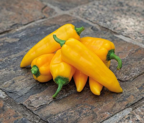 Dehner Premium Samen Spitzpaprika 'Ora Long'