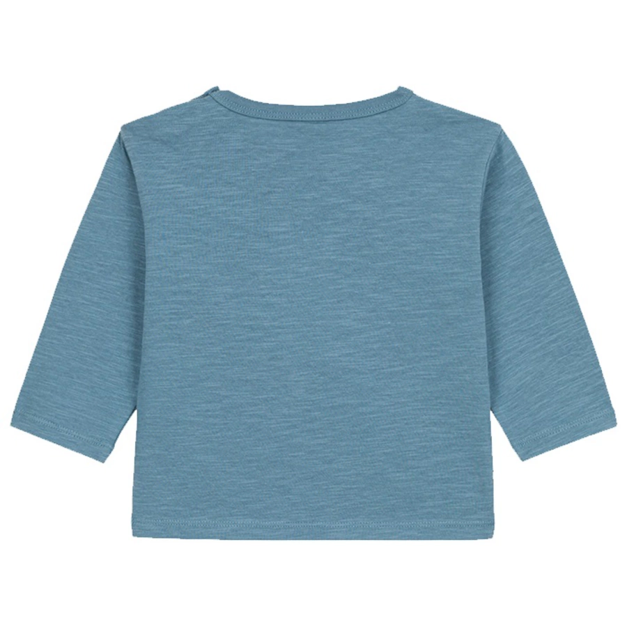 Petit Bateau Langarmshirt rover