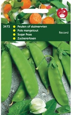 groentezaad Peul (Pisum sativum 'Record')