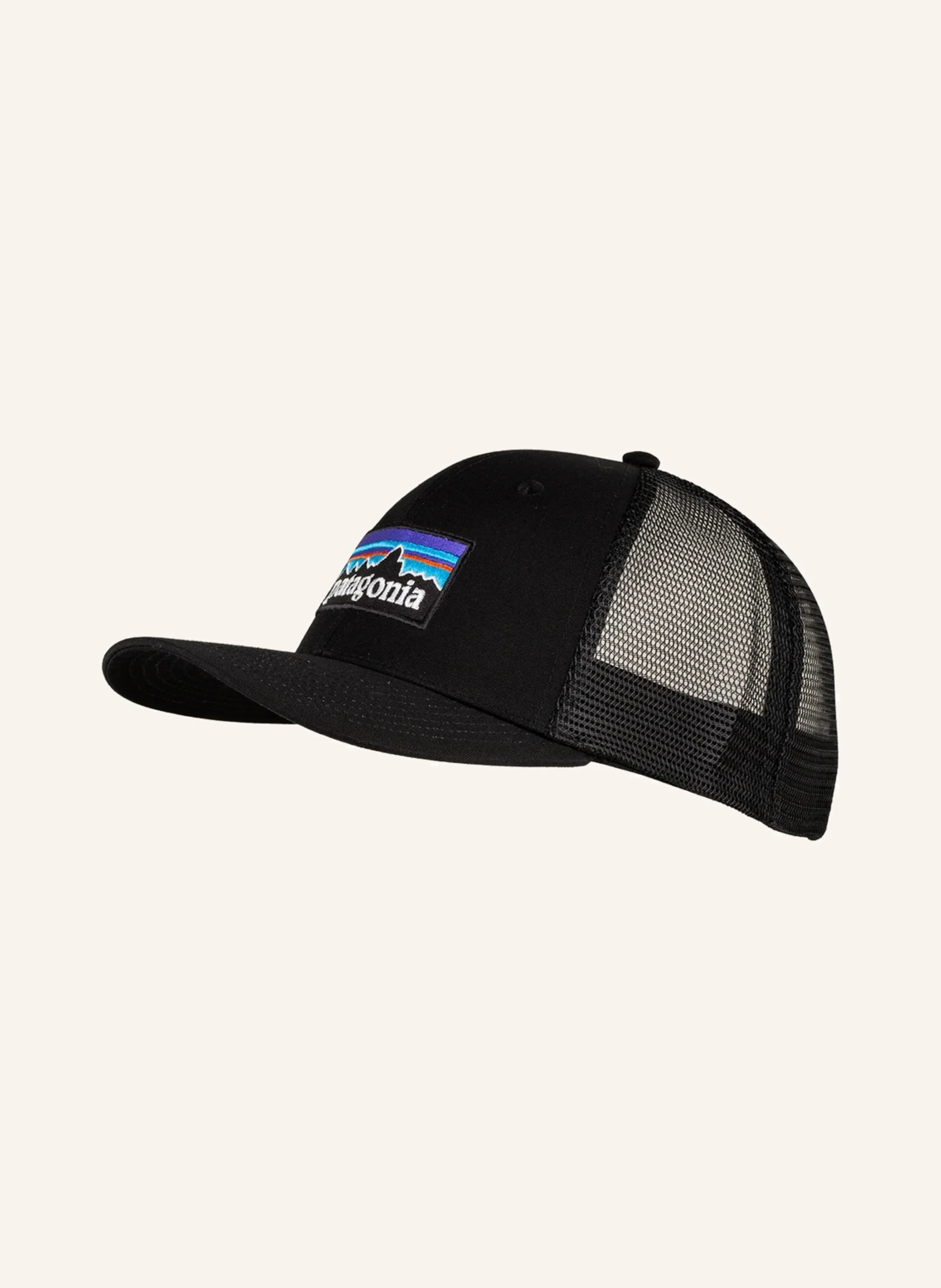 patagonia Cap P-6