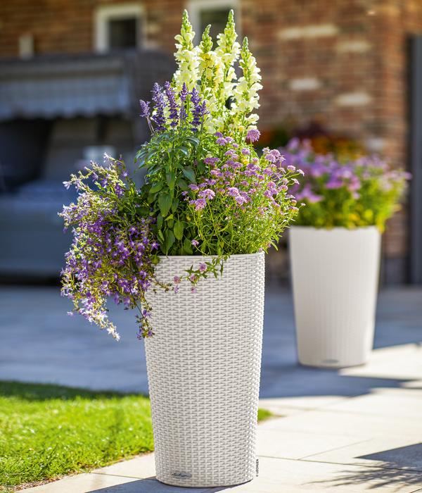 LECHUZA® Kunststoff-Säule Cilindro Cottage