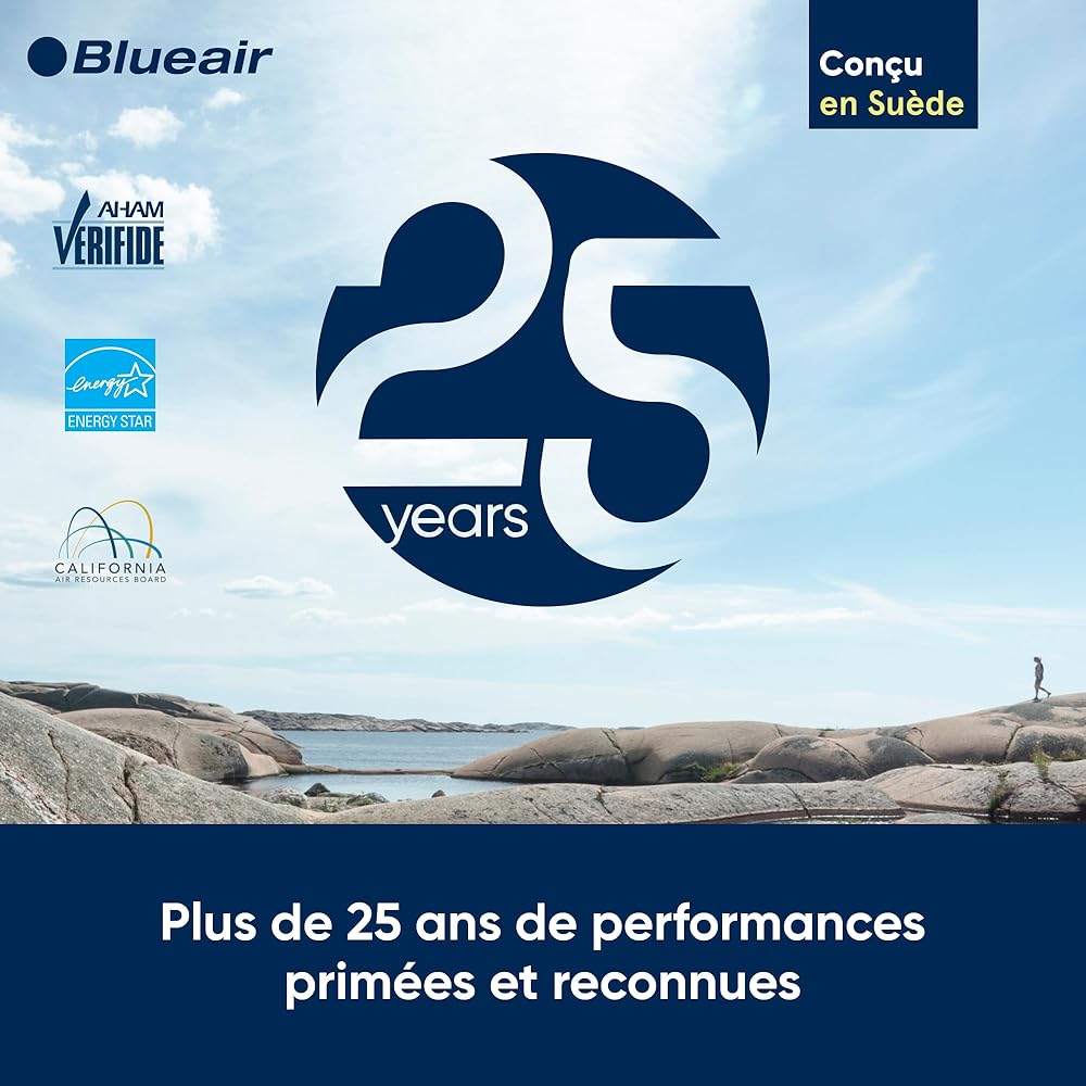 BLUEAIR Purificateur d'air Blueair Blue Pure 3210, purificateur filtre à air auto HEPA Silent™, système de filtration pour purifier jusqu'à 41 m2, gris : Cuisine et Maison