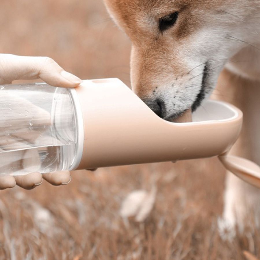 Garrafa de água portátil de 200ml para cães e gatos