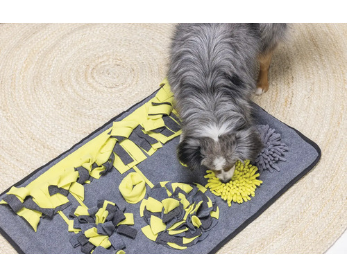 Beeztees Pluche Snuffelmat Flora 70 cm Hondenspeelgoed, Intelligentiespeelgoed, Snoepgoed, Activiteitenspeelgoed, Interactief Speelgoed
