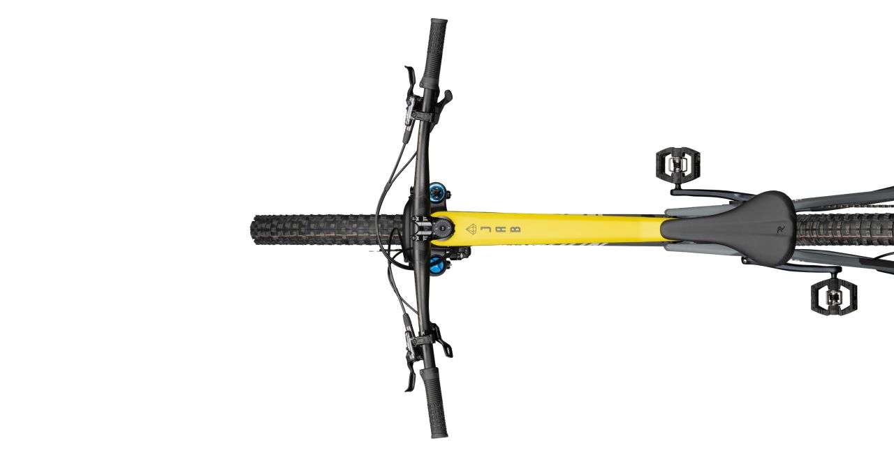Radon Jab 10.0 kaufen | Bike-Discount