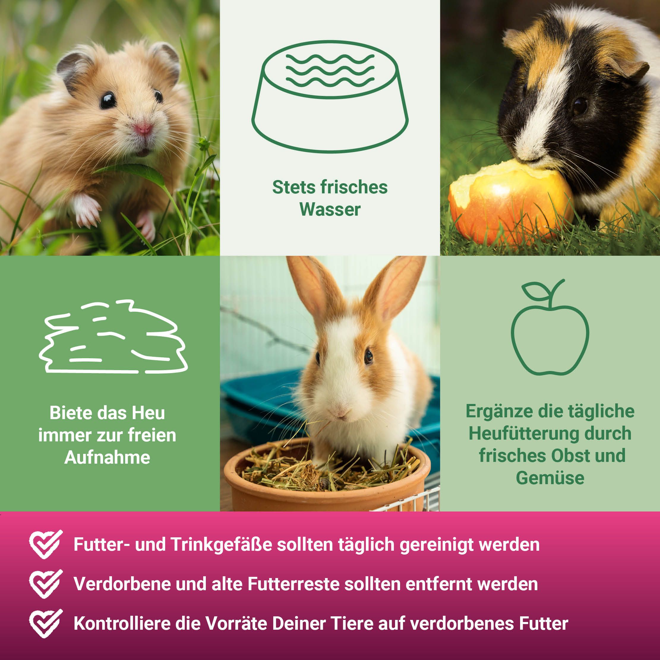 PANTO® Apfelwiese