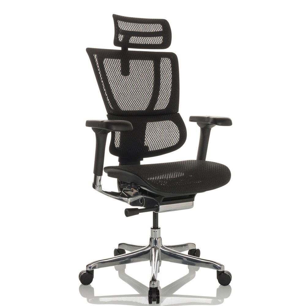 Luxus Chefsessel ERGOHUMAN SLIM GEN2 Netzstoff mit Armlehnen (höhenverstellbar) hjh OFFICE