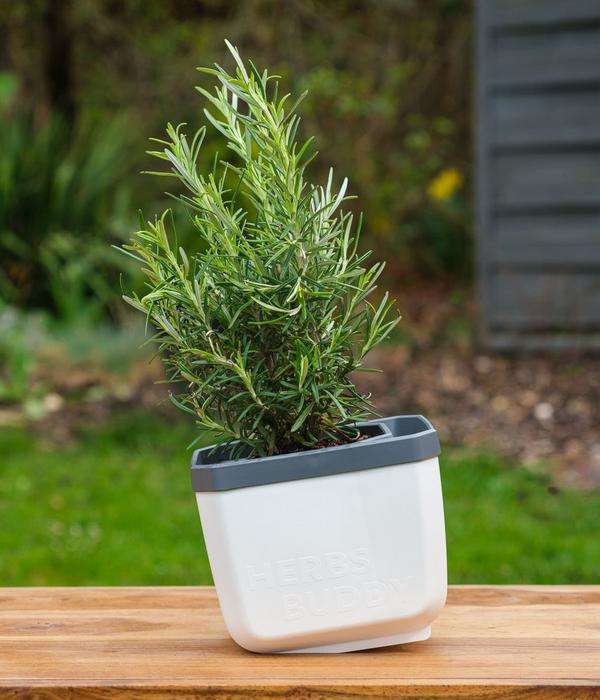 Gusta Garden Kräutertopf Herbs Buddy, ca.