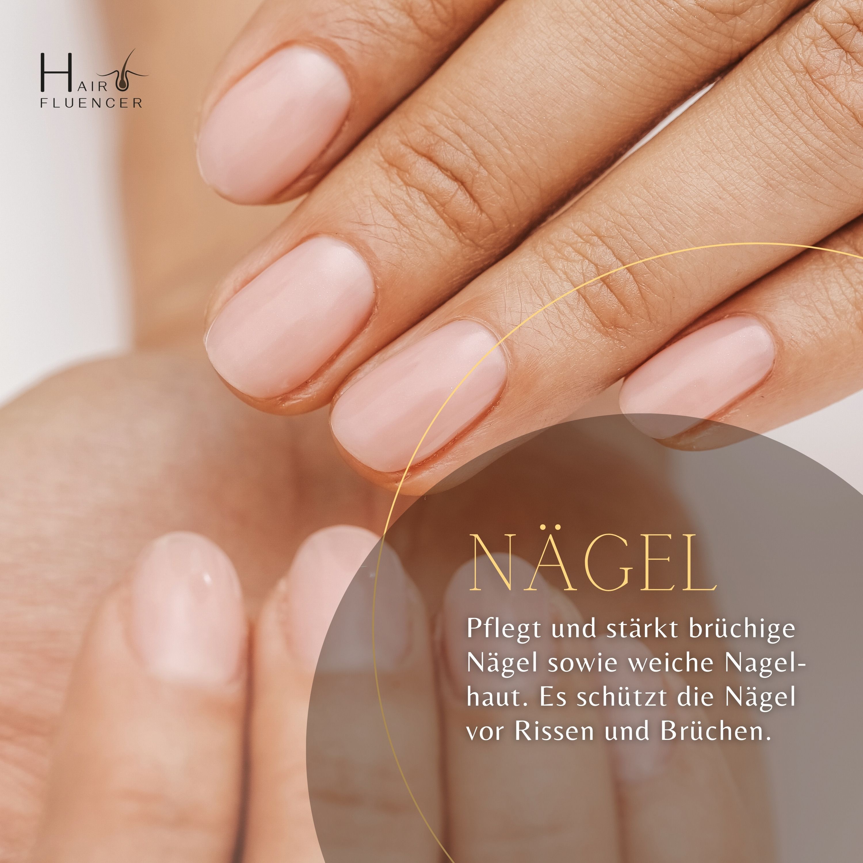 Premium Arganöl von Hairfluencer