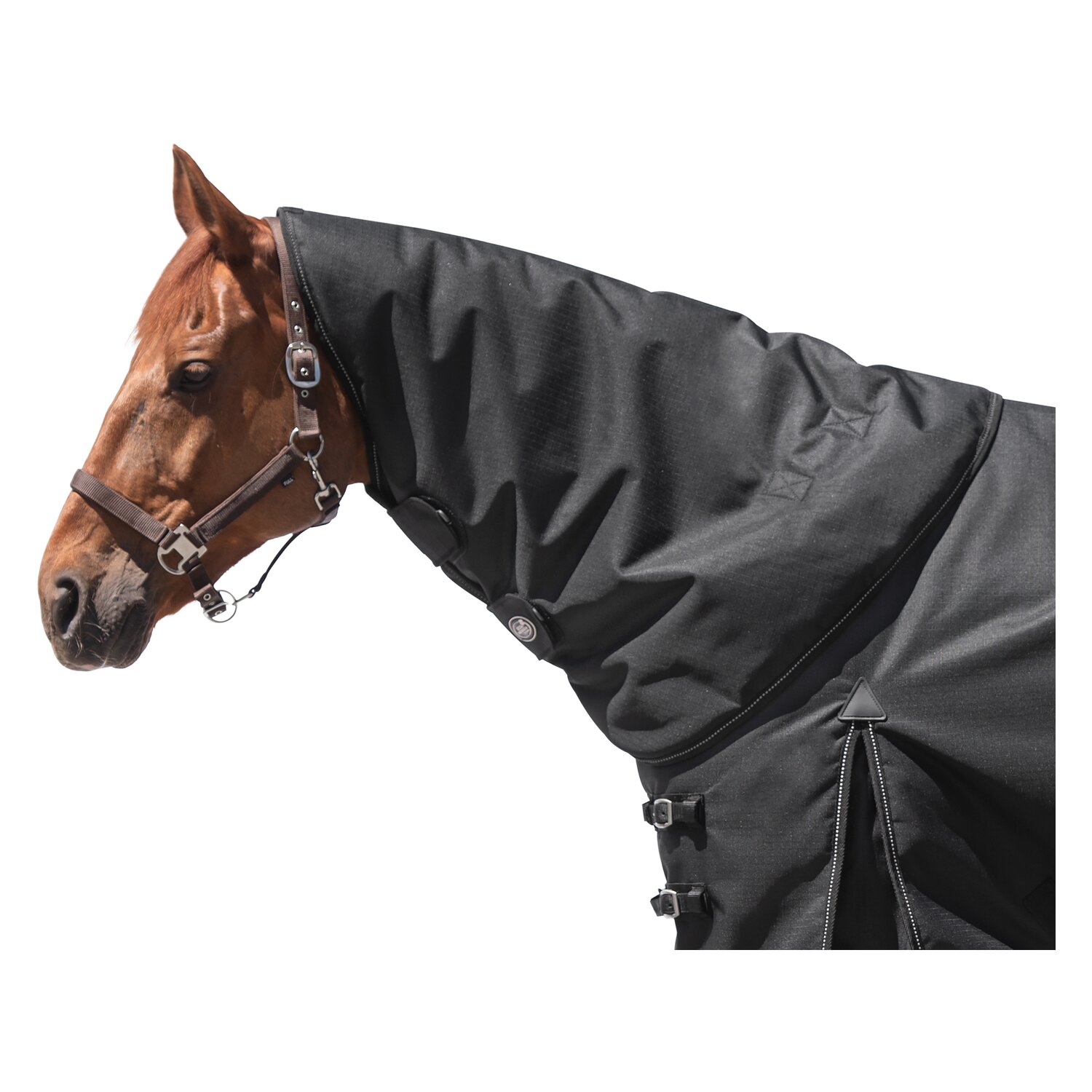 IRISh INNOVATION Halsteil Charlotte - black