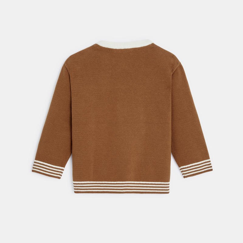 Pull jeu de mailles dinosaure marron bébé garçon Marron