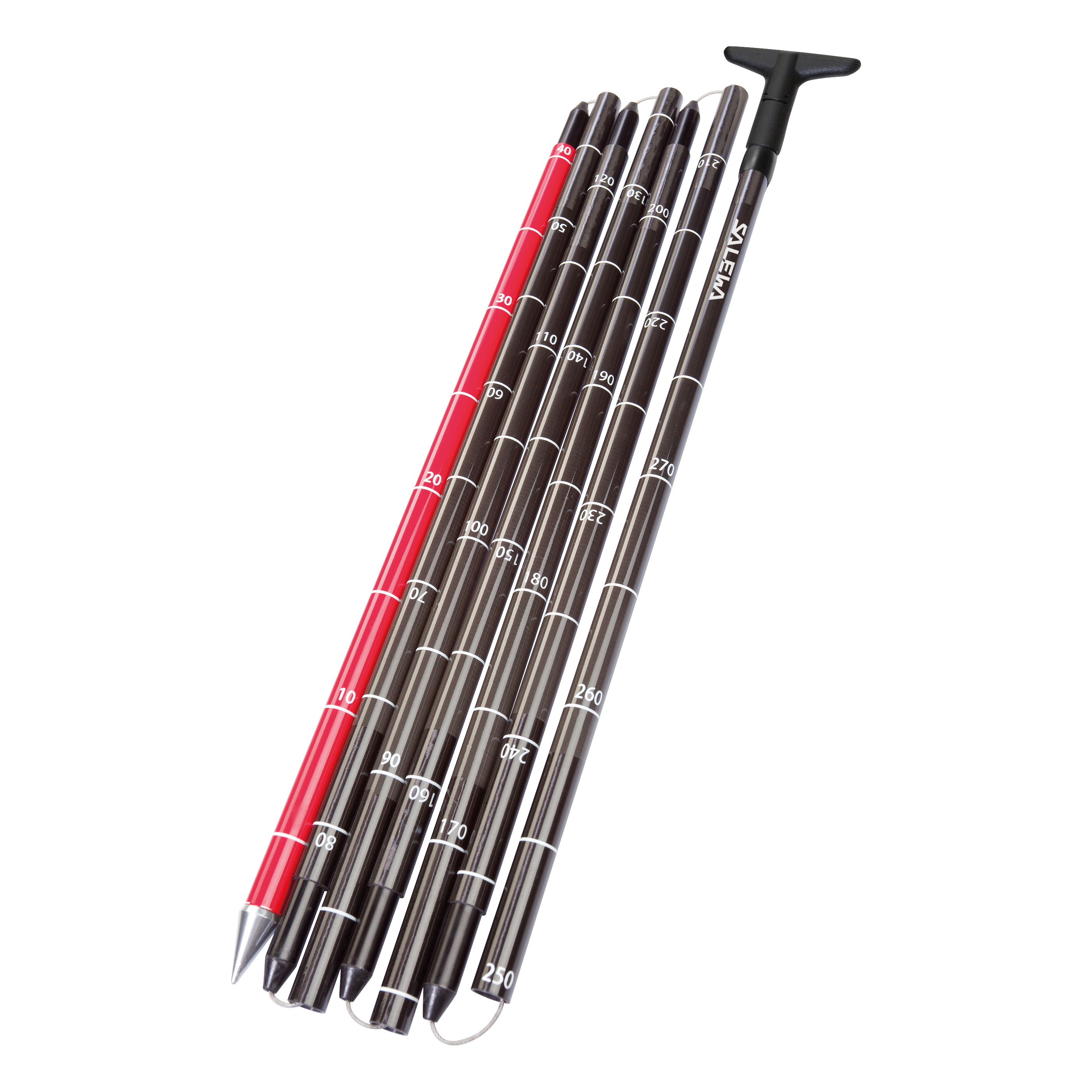 Lawinensonde Lightning Carbon 320 Pro