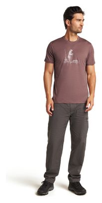 T-shirt Technique Manches Courtes Homme Icebreaker Merino 150 Tech Lite Polar Paddle Marron