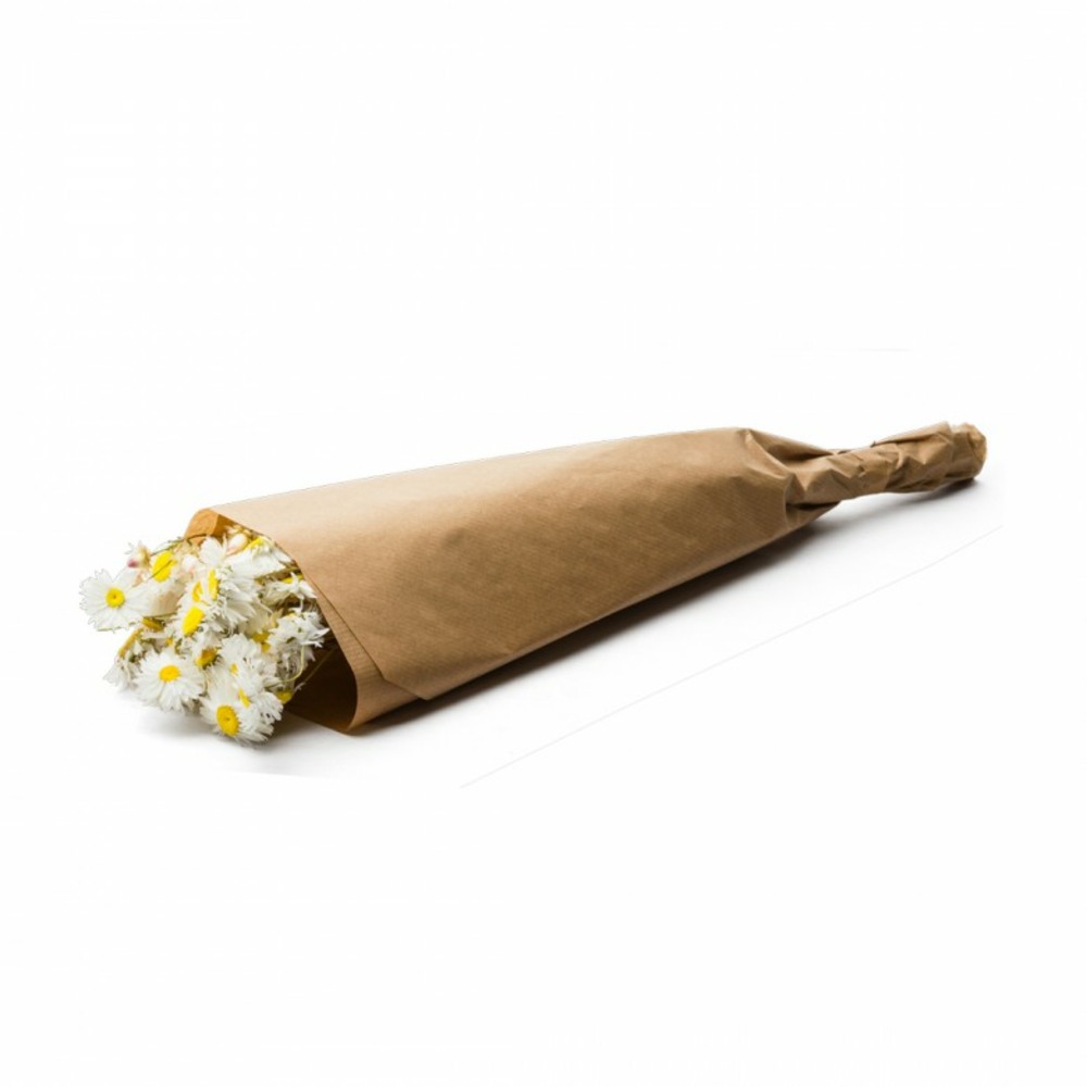 Botte de fleurs séchés acroclinium blanc naturel