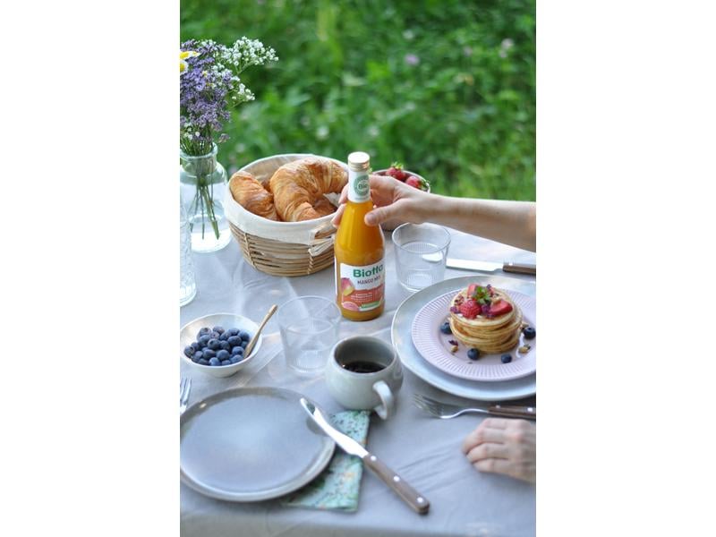 Biotta Säfte Mango Mix Bio 0.5 l Fruchtsaft aus erntefrischen Bio-Mangos und Guave