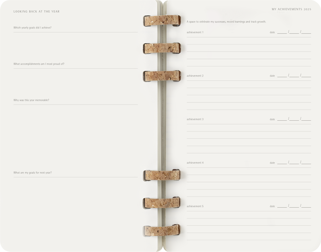 Life Planner 2025 L 12-Month, Spiral