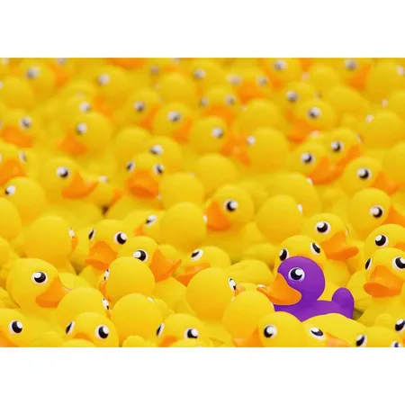 Ravensburger Puzzle - Quietscheenten, 1000 Teile