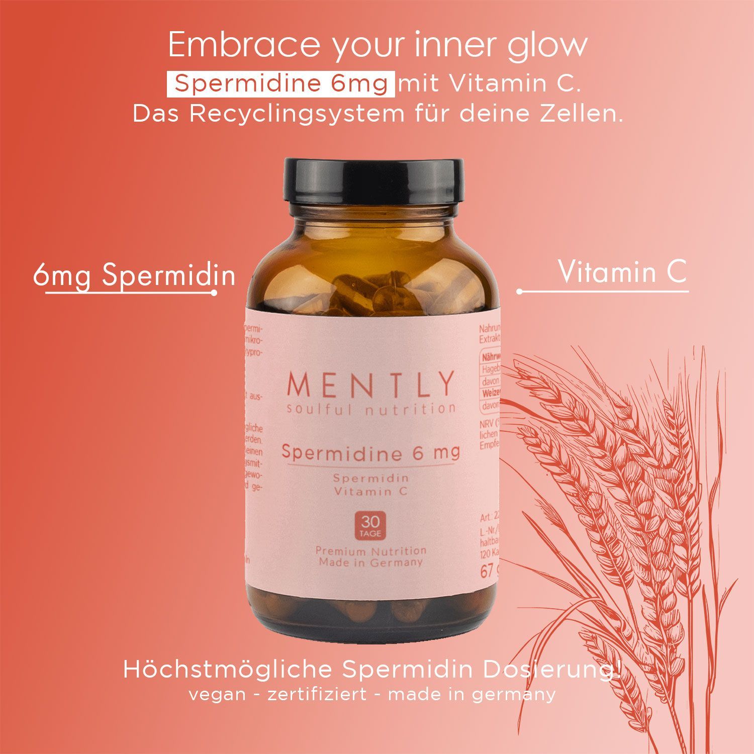 MENTLY Spermidine 6mg
