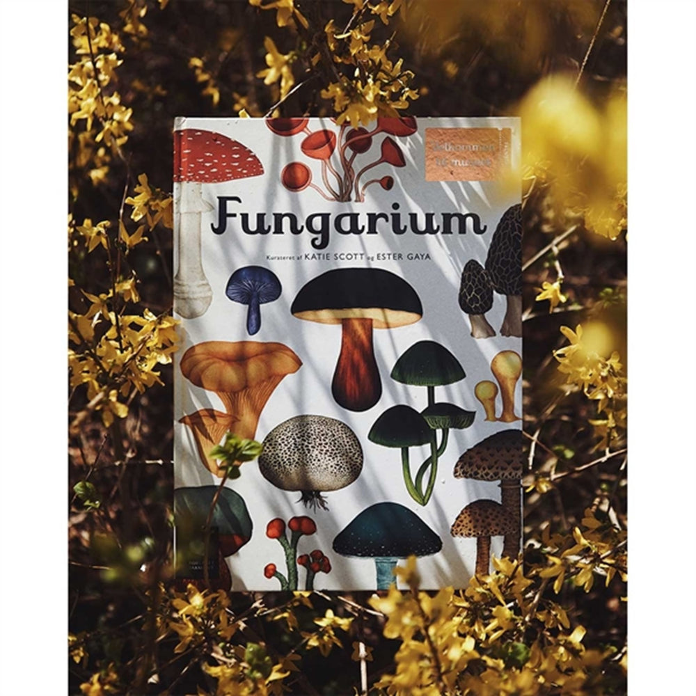 Køb Forlaget Mammut Fungarium