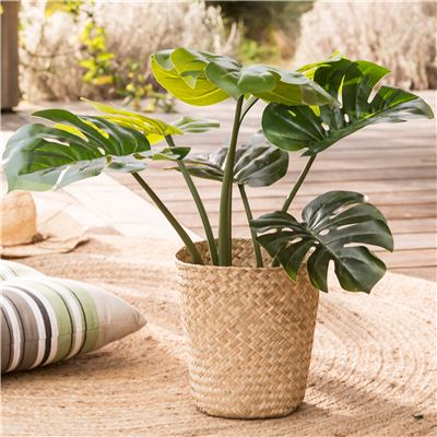 Plante artificielle Monstera