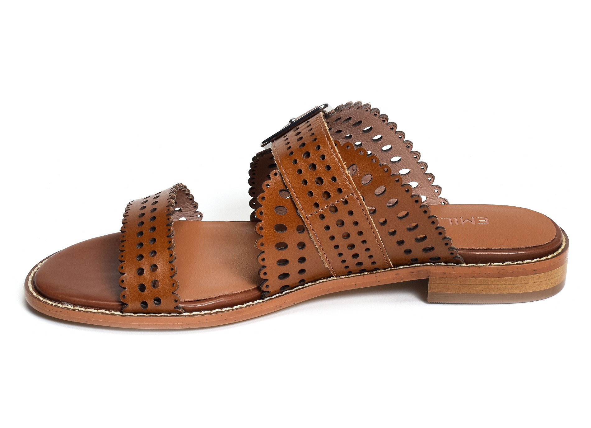 Xana camel
