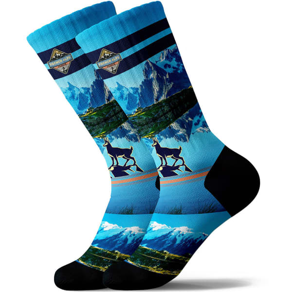 Chaussette PULLIN SOCKS LONG WHITE
