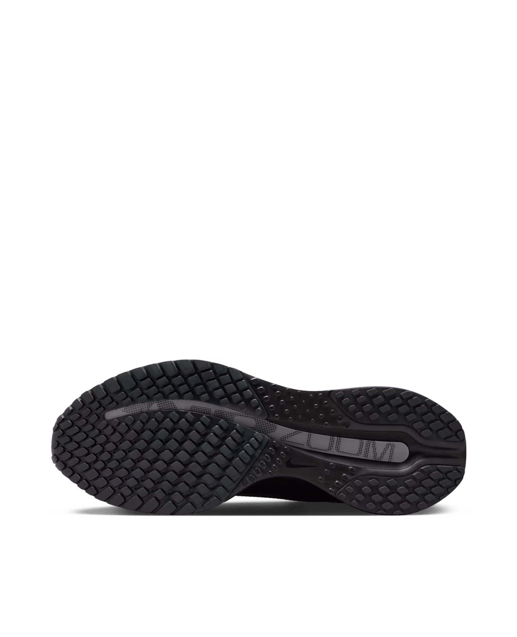 Nike Pegasus Premium SP (Black/Metallic Silver-White)