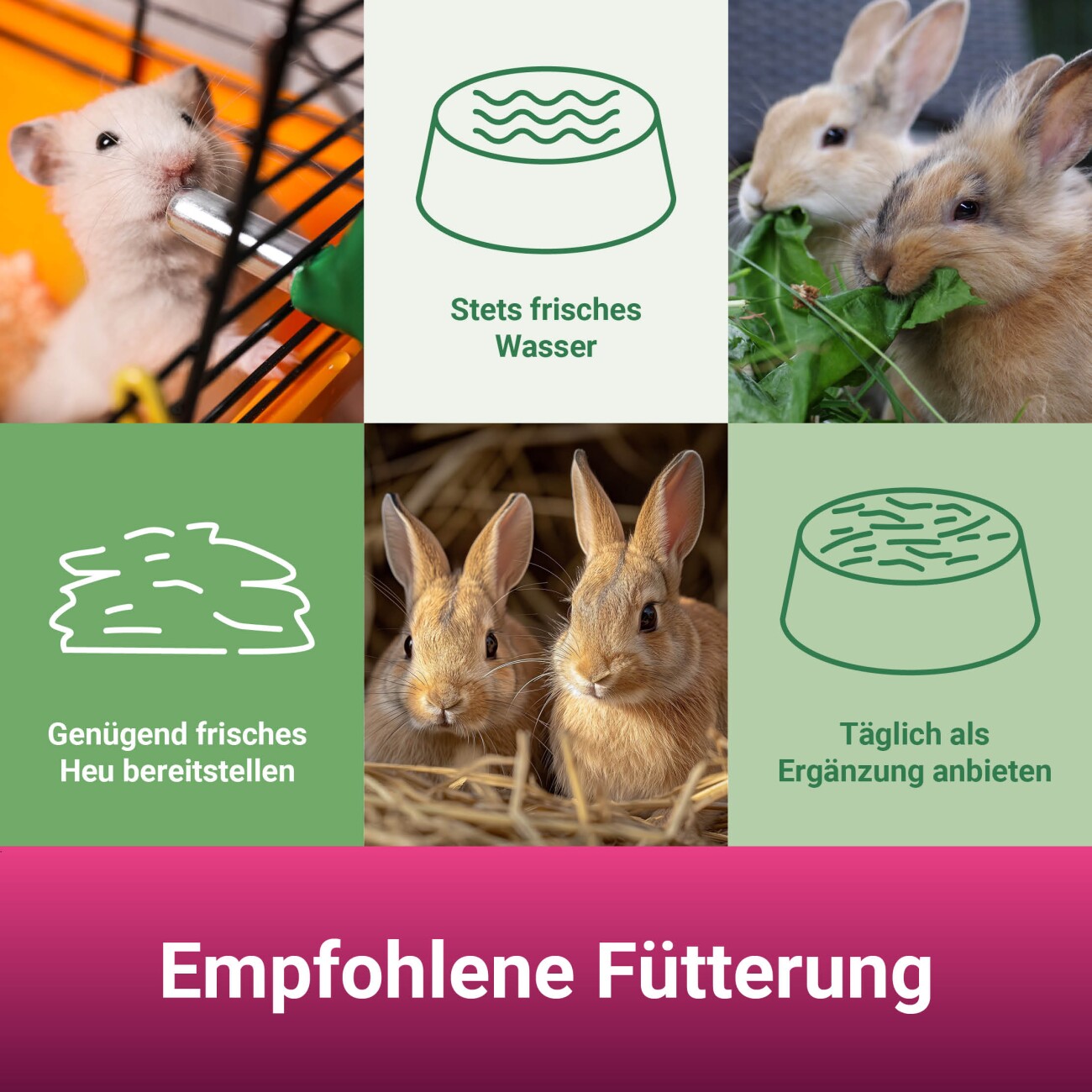Panto KRÄUTERMIX 100g