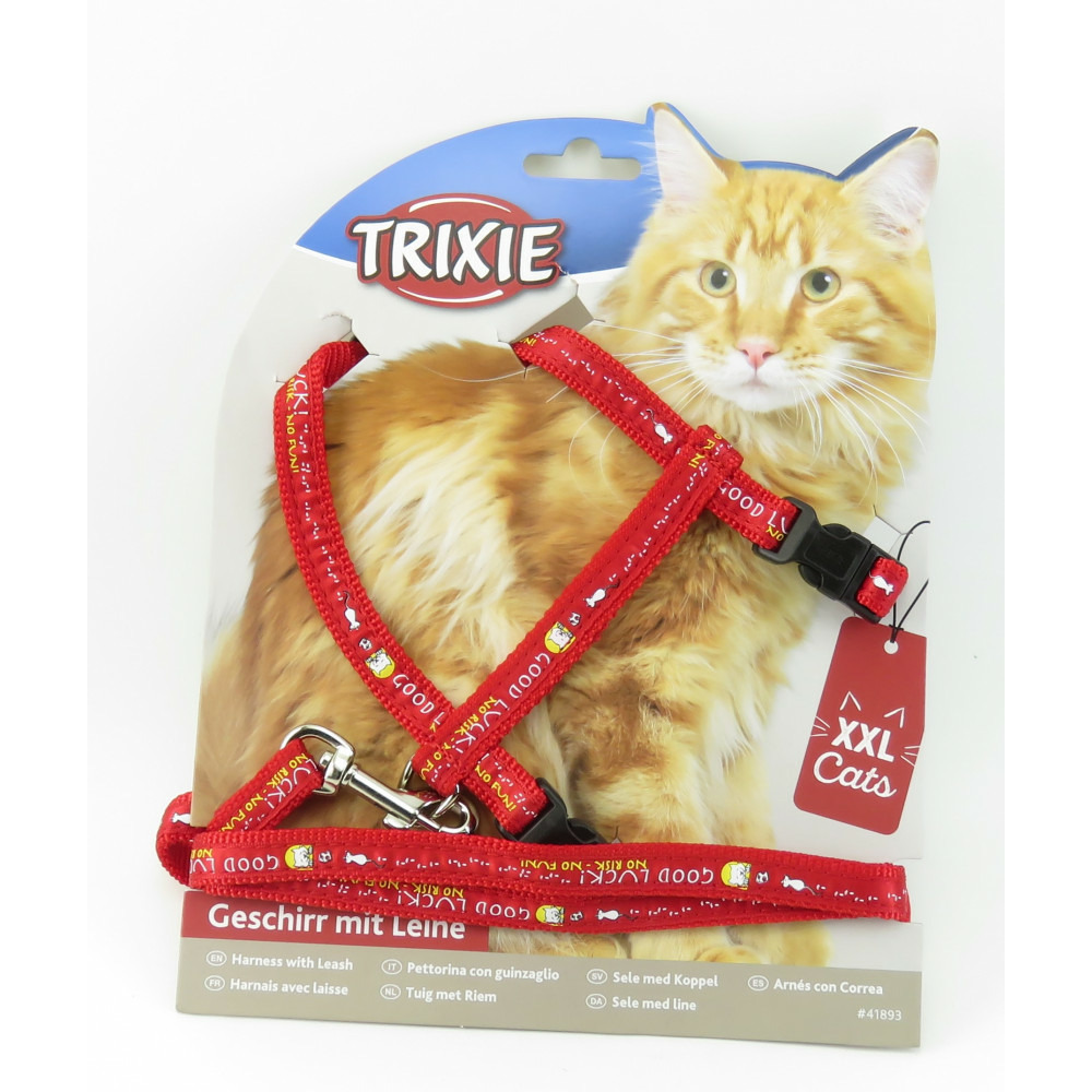 Harnais xl avec laisse pour grand chat 34-57 cm/13 mm couleur aléatoire