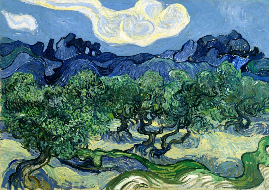 Olivenbäume mit den Alpillen im Hintergrund von Van Gogh