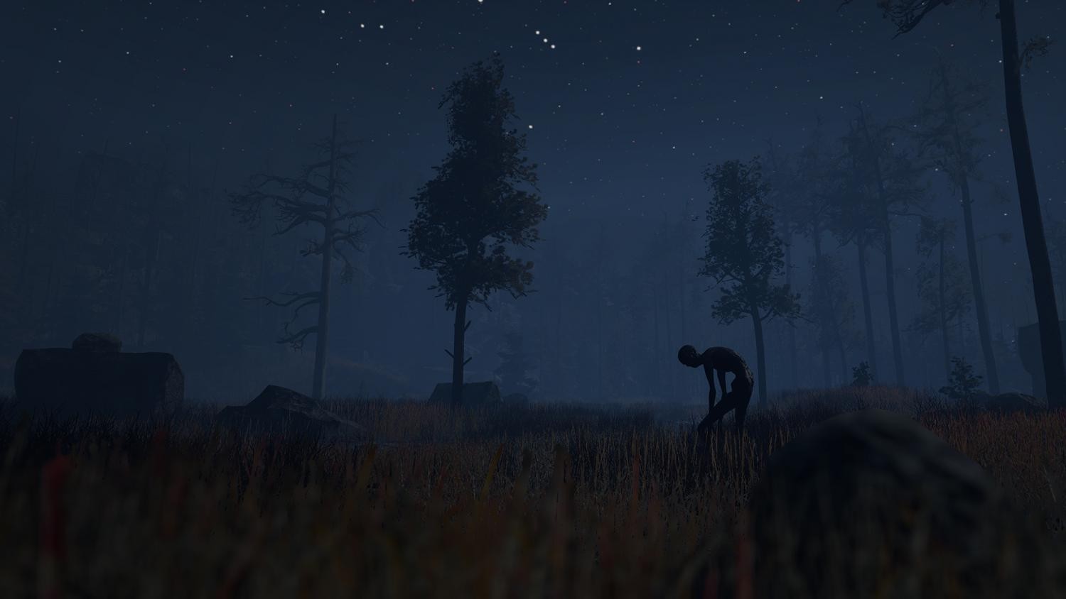 Through the Woods- PC