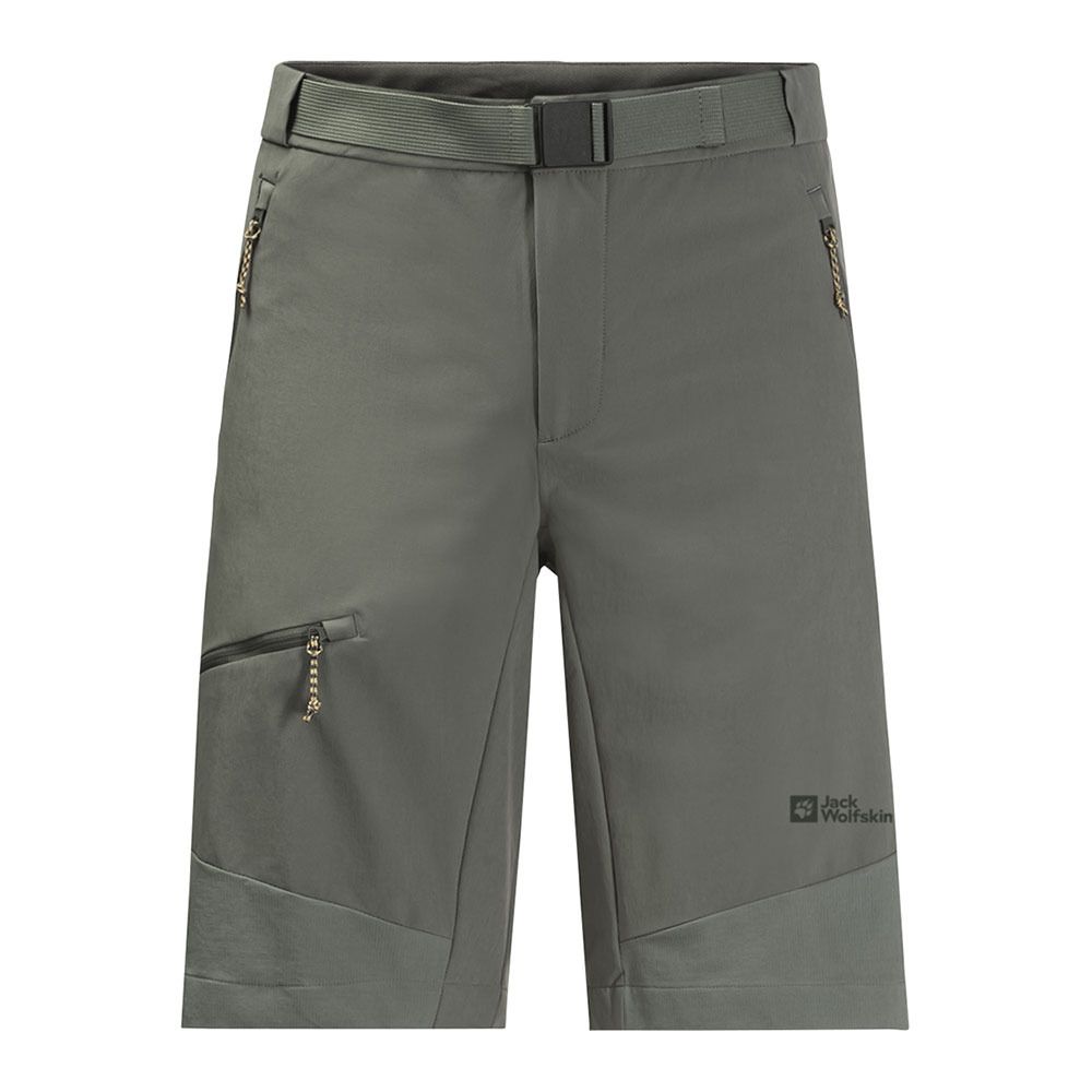 Jack Wolfskin ZIEGSPITZ - Short Homme gecko green