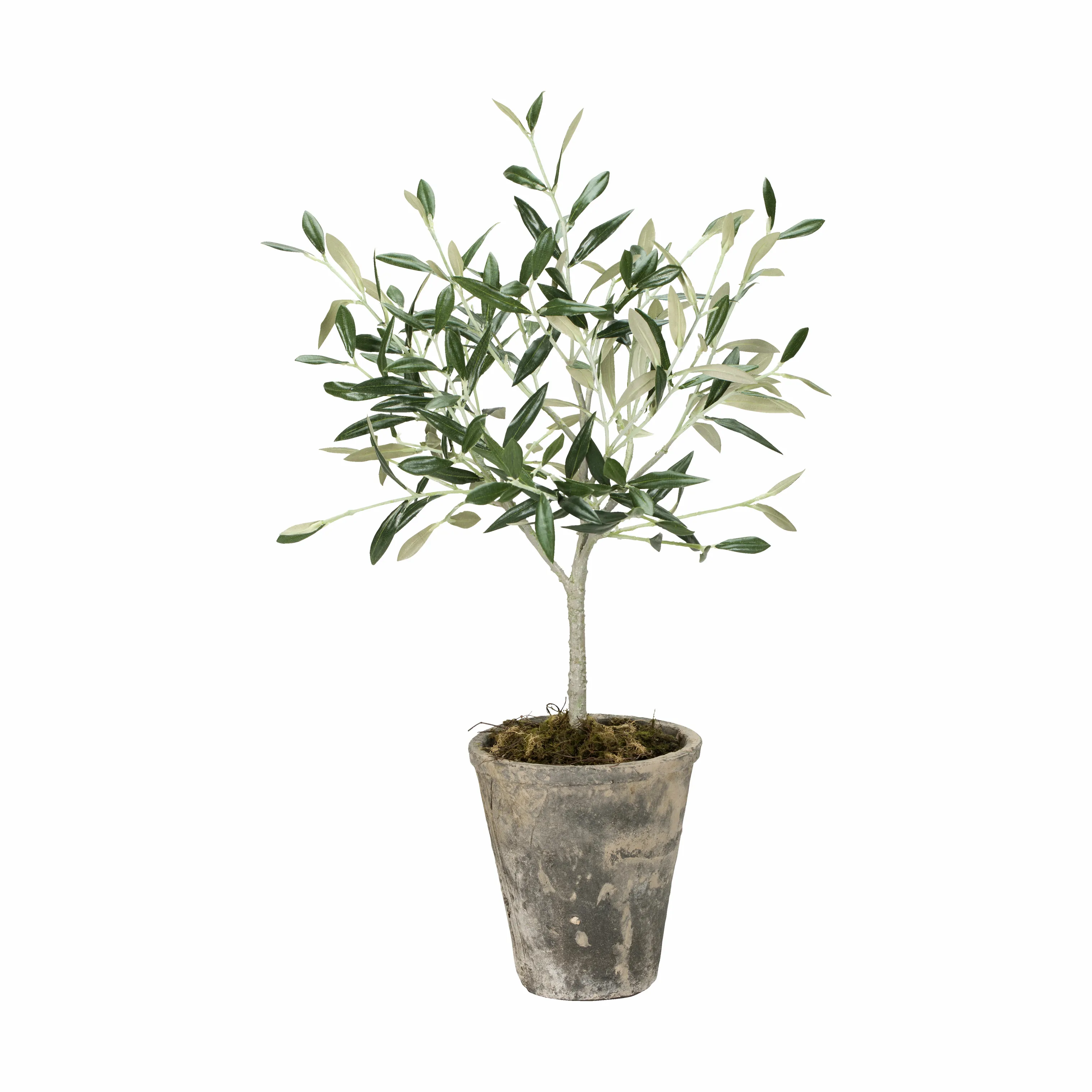 Lene Bjerre Flora Kunstig Oliventræ