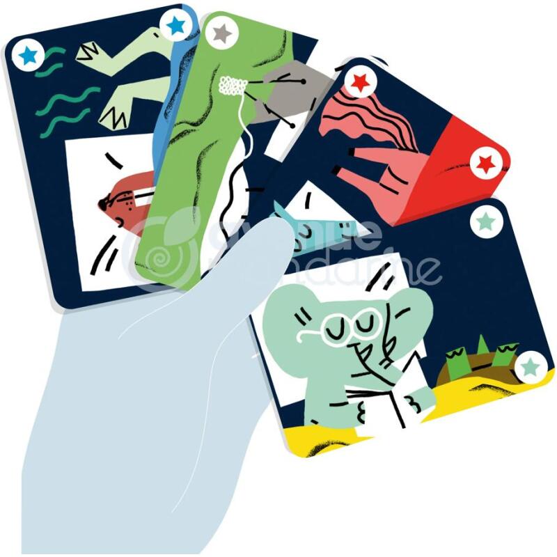 Jeux de cartes, Mistigri - Multicolore