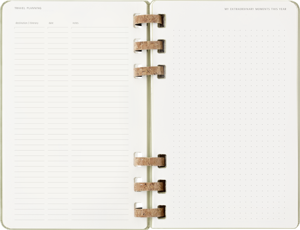 Life Planner 2025 L 12-Month, Spiral