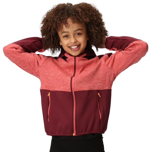 Veste polaire randonnée REGATTA DISSOLVER VII MINRD/BURGND