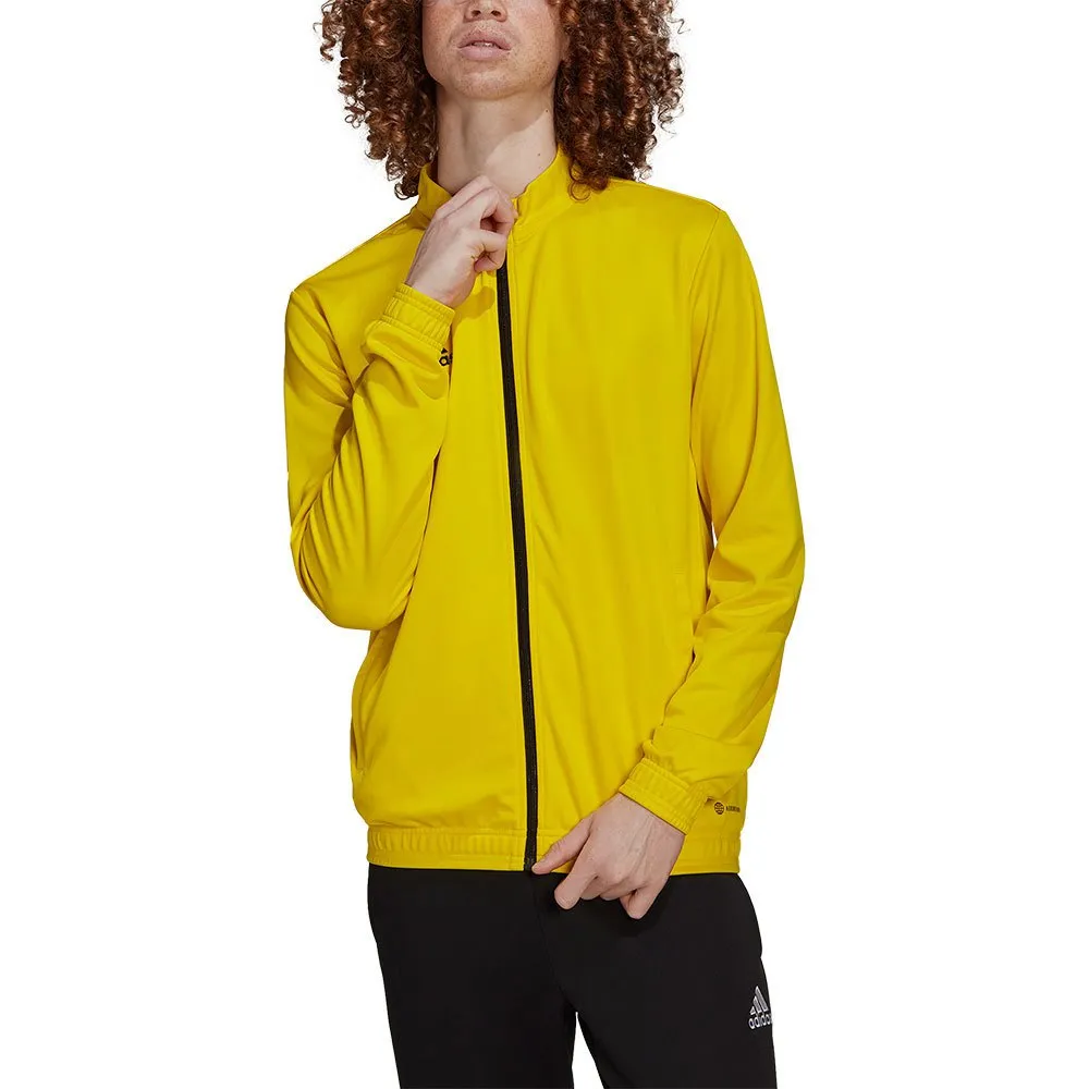 jaqueta adidas Entrada 22