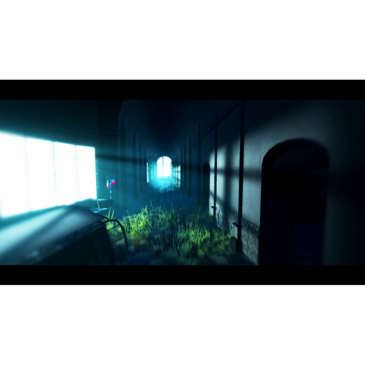 Acanthoceras - PC Windows