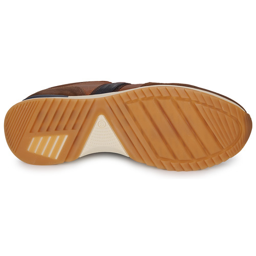 Bullboxer - 989K26213FCONA - Marron