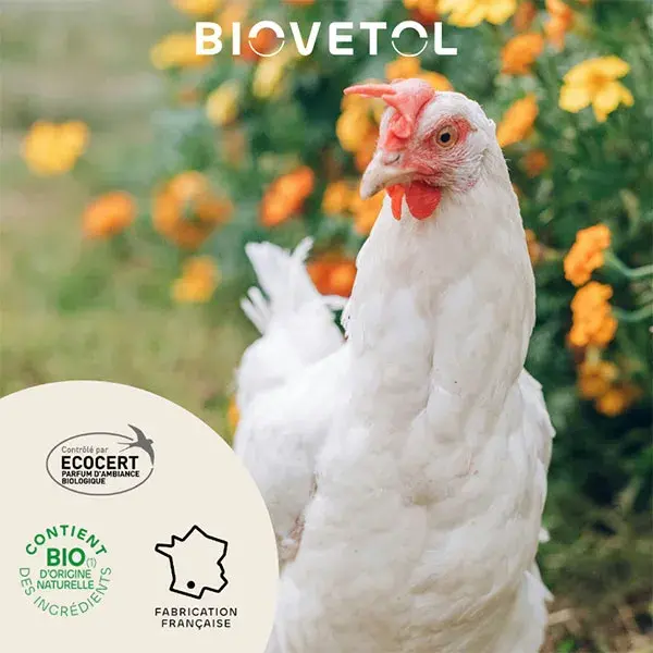 Biovetol - Poudre de diatomée Bio - 200g
