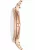 Fossil Damenuhr Jocelyn ES4452