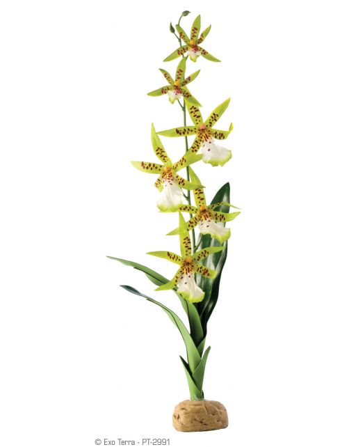 Exo Terra Rainforest Plant Spider Orchid - Kunstplanten - per stuk