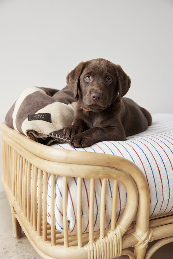 OYOY Living Design Otte Hundeseng - Lille Natur