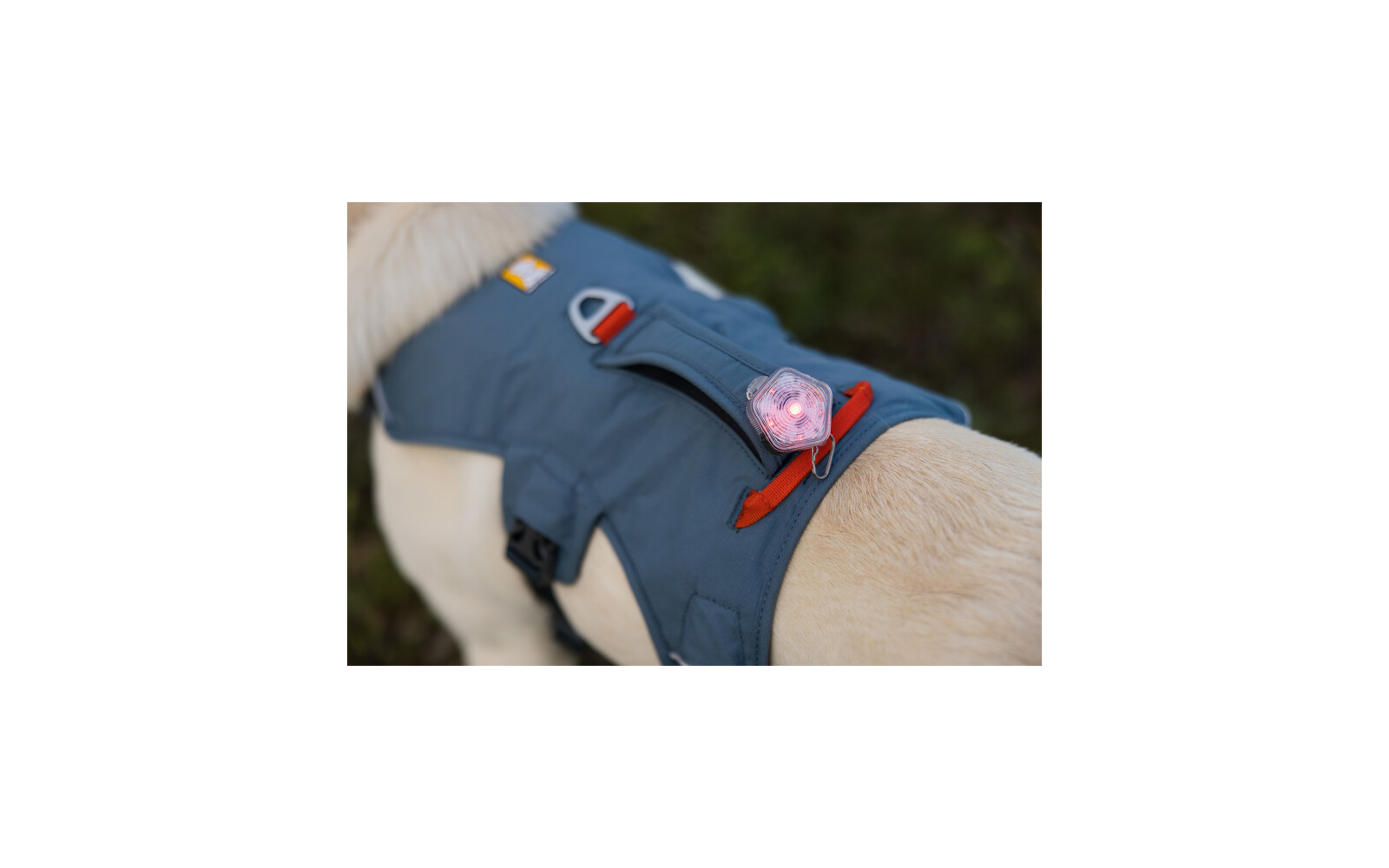 Ruffwear Web Master Hundegeschirr mit Handschlaufe Slate Blue XXS