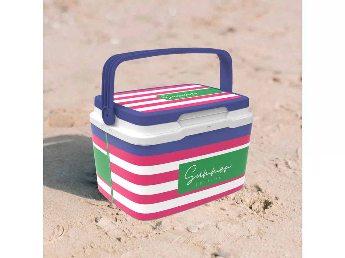 Réfrigérateur life story cooler 5l pink navy
