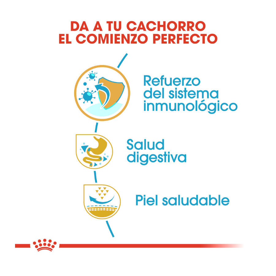 Ração Royal Canin para filhotes de Bulldog Francês